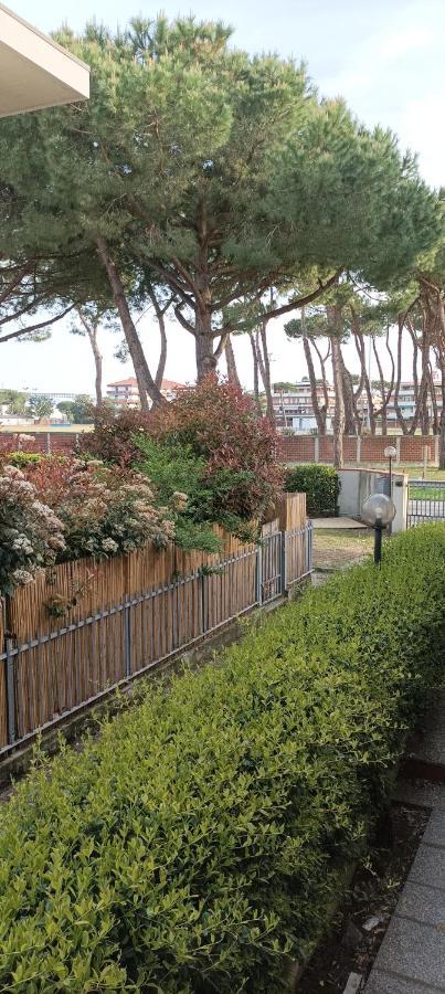 La Casina Di Ale Apartment Marina Di Carrara Ngoại thất bức ảnh